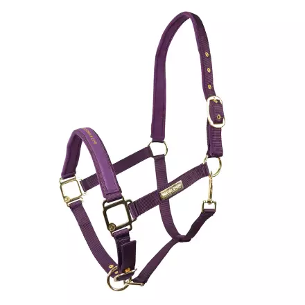 Nylonriimu Equestrian Life tumman liila Hansbo Sport - Hevosen nylonriimut - 027915 - 1