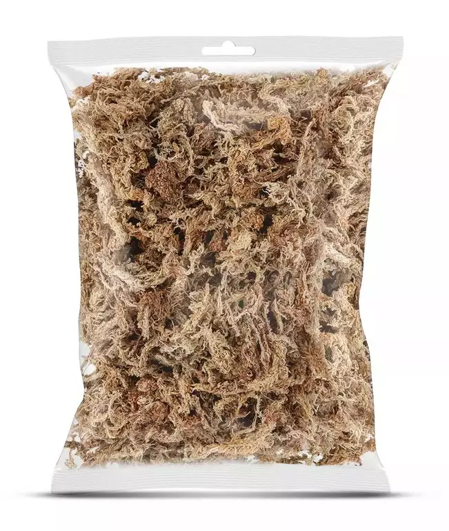 Rahkasammal Sphagnum 25g Hapet - Terraarion tarvikkeet ja kuivikkeet - 057865 - 1