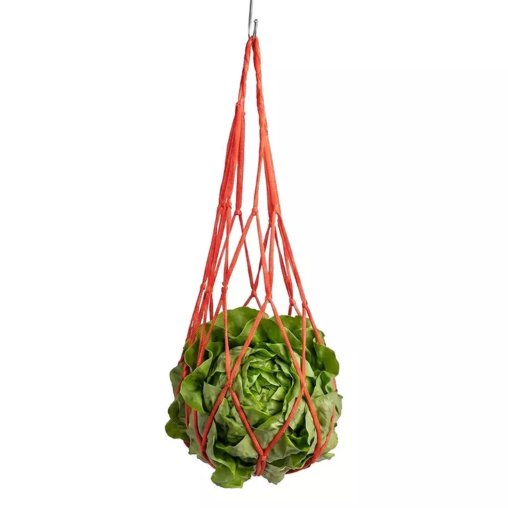 Ripustettava ruokintaverkko kanoille 50x18cm punainen Duvo+ - Kotieläinten ruokinta-astiat ja ämpärit - 059655 - 1