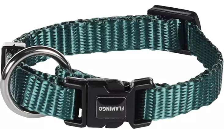 Säädettävä panta pistolukolla Ziggi nylon XXS vihreä Flamingo - Koiran pika- ja pistolukkopannat - 050715 - 1