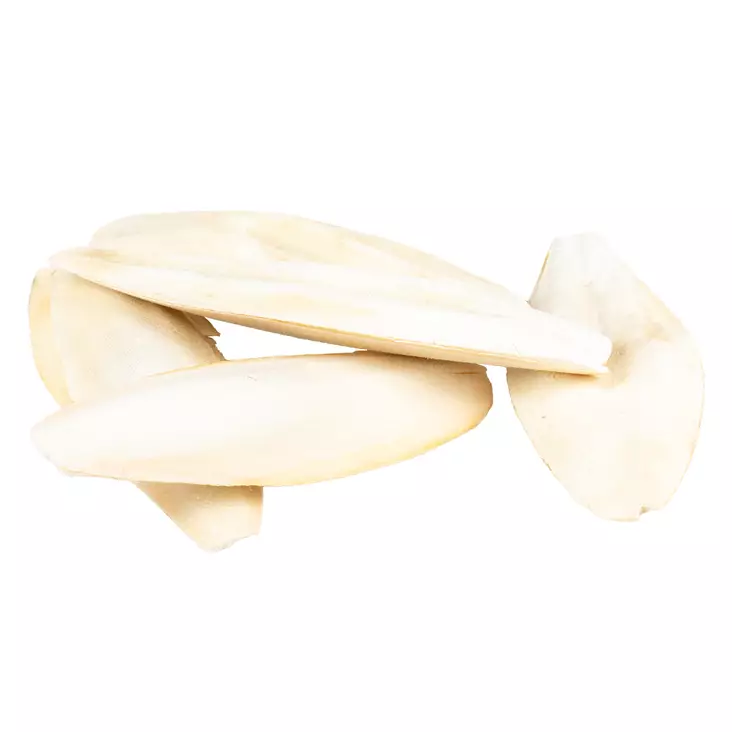 Seepiansuomu 15-28cm IRTO KG Duvo+ - Lemmikkilintujen nokka ja mineraalikivet - 057905 - 1