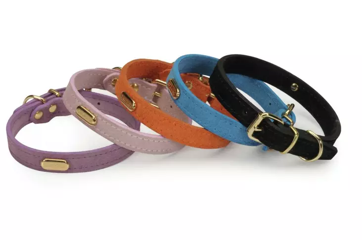 Solkipanta mokkaa Cinopelca 1,5x33cm värimix Camon - Koiran solkipannat - 053245 - 1