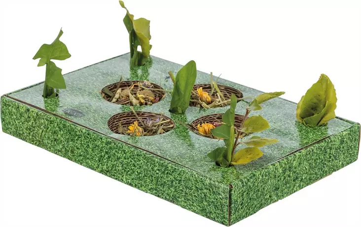 Jyrsijän pahvinen Snack Plate 28x3,8x18cm Trixie - Pieneläinten lelut ja puuhasteltavat - 054675 - 1