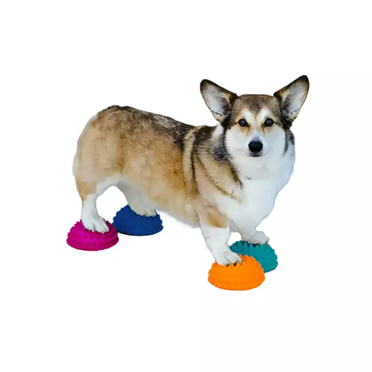 Tasapainopuolipallot Paw Pods 4kpl FitPaws - Koiran aktivointilelut - 060145 - 1