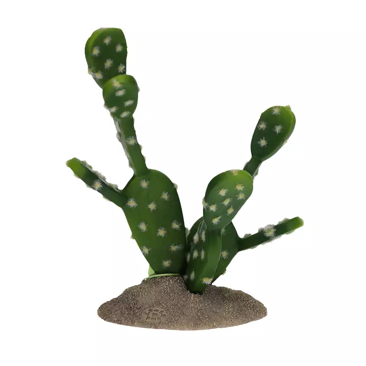 Tekokaktus Prickly Pear Viikunaopuntia Terra Della - Terraarion tarvikkeet ja kuivikkeet - 059435 - 1