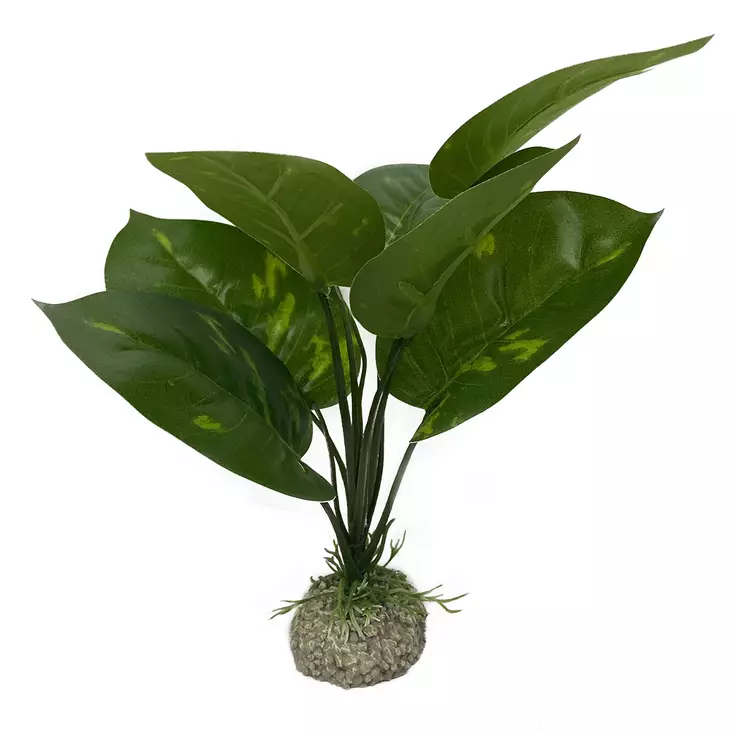 Tekokasvi Anubias 1 24cm Aqua Della - Terraarion tarvikkeet ja kuivikkeet - 043215 - 1