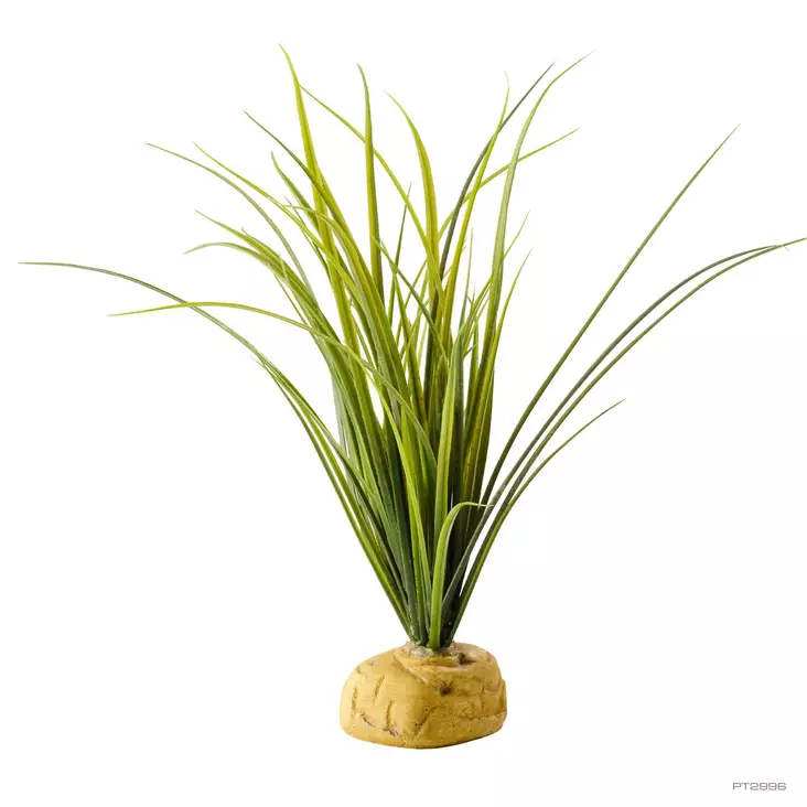 Tekokasvi Turtle Grass n. 28cm ExoTerra - Terraarion tarvikkeet ja kuivikkeet - 044715 - 1