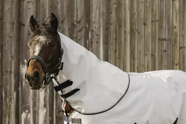 UV-suojattu kaulakappale valkoinen Equitheme - Hevosen hyönteis- ja UV-loimet - 051665 - 1