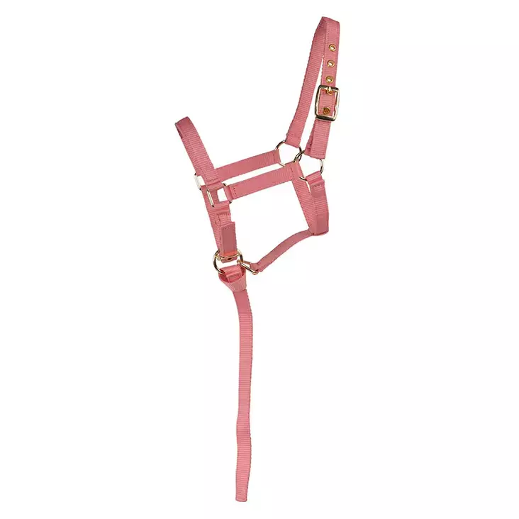 Varsariimu Basic rosa Hansbo Sport - Hevosen nylonriimut - 051855 - 1