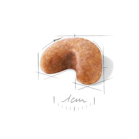 French Bulldog Puppy Royal Canin - Kuivaruoat pennuille ja kasvatukseen - 000916 - 2