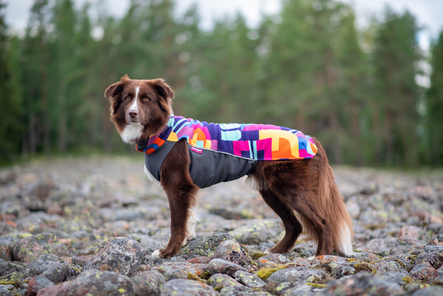 JumppaPomppa Femton JUHLAMALLI - Koiran paidat ja neuleet - 033106 - 2