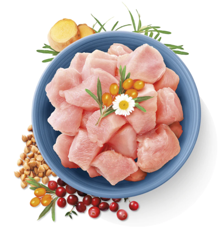 Kalkkuna True Fresh Carnilove Cat - Kissan kuivaruoat aikuisille kissoille - 034006 - 2