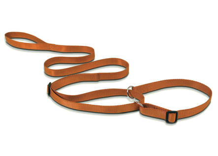 Näyttelytalutin 1/2-kiristävä okra 12mmx150cm Show Tech - Koiran näyttelytaluttimet - 029766 - 1