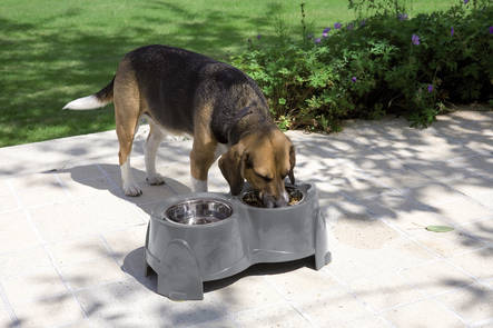 Ruokabaari 2x1500ml Ergo Feeder harmaa - Koiran metallikupit ja telineet - 003106 - 1