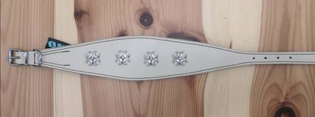 Vinttikoirapanta nahkaa koristein 38cm champagne Onega - Koiran solkipannat - 029696 - 2