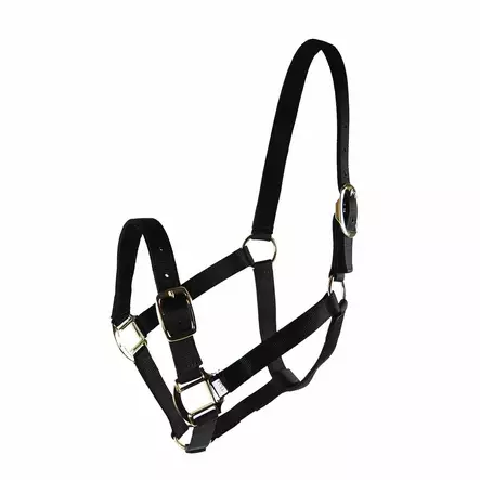 Nylonriimu turvalta avattava musta Equitare Pro - Hevosen nylonriimut - 056446 - 1