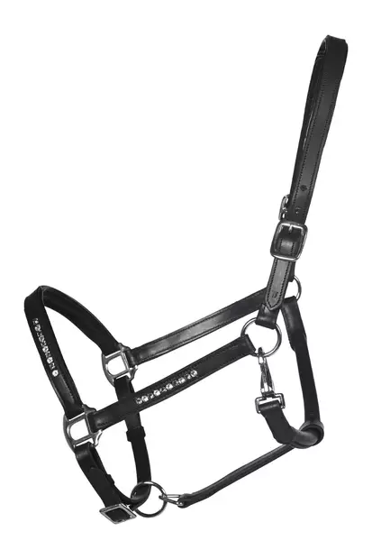 Nahkariimu Sparkle musta HKM-sports - Hevosen nahkariimut ja narut - 056886 - 1