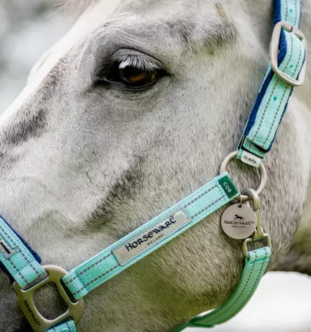 Nylonriimu Fieldsafe blue haze Horseware - Hevosen nylonriimut - 057376 - 2