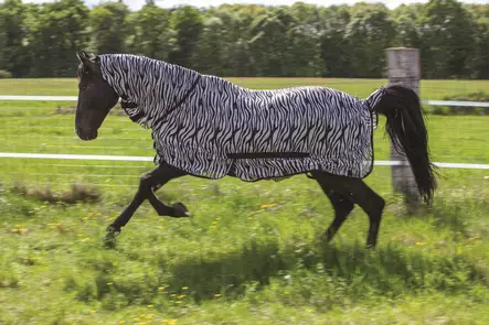 Verkkoloimi Combo kiinteällä kaulakappaleella zebra Riding World - Hevosen hyönteis- ja UV-loimet - 057296 - 2