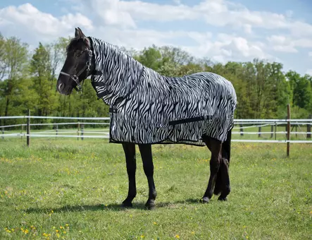 Verkkoloimi Combo kiinteällä kaulakappaleella zebra Riding World - Hevosen hyönteis- ja UV-loimet - 057296 - 1