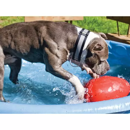 Jolly Egg muovipallo 20cm Jolly Pets - Koiran pallot ja heittolelut - 005646 - 2