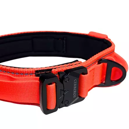 Kahvapanta leveys 3,8cm oranssi Cerberos - Koiran pika- ja pistolukkopannat - 059046 - 2