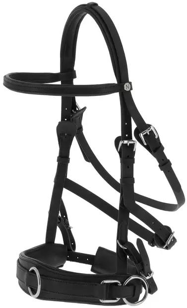Nahkainen kapsoni leveällä turpahihnalla FULL musta Norton - Hevosen juoksutus ja maastakoulutus - 050986 - 1