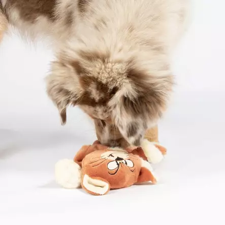 Pehmokissa Rontti Azrael 18x3x32cm Smurffi Duvo+ - Koiran pehmolelut - 054276 - 2