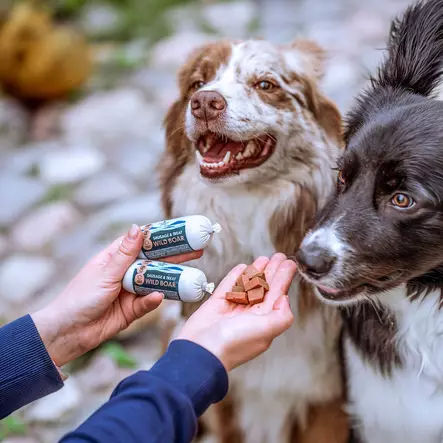 Villisika viljaton treenimakkara 80g PrimaDog - Koiran herkut ja makupalat - 059016 - 2