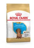 Dachshund Puppy 1,5kg Royal Canin - Kuivaruoat pennuille ja kasvatukseen - 000886 - 1