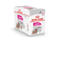 Exigent Adult Loaf 12x85g mureke Royal Canin - Koiran säilykkeet aikuisille koirille - 013736 - 2