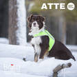 Huomioliivi Atte keltainen FinNero - Koiran heijastimet ja turvavalot - 015006 - 4