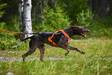 Vetovaljas Freemotion 5.0 oranssi/musta Non-stop dogwear - Koiran veto- ja juoksuvaljaat - 030536 - 5