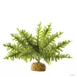 Tekosaniainen Boston Fern S ExoTerra - Terraarion tarvikkeet ja kuivikkeet - 041256 - 1