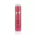 Shampoo Volumizing 250ml Home Yuup! - Koiran shampoot - 047556 - 1