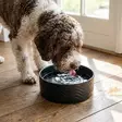 Keramiikkakuppi Roxy Black 680ml 15cm musta OZami - Koiran keramiikkakupit - 056186 - 2