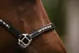 Nahkariimu Sparkle musta HKM-sports - Hevosen nahkariimut ja narut - 056886 - 5