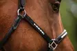 Nahkariimu Sparkle musta HKM-sports - Hevosen nahkariimut ja narut - 056886 - 4