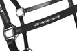 Nahkariimu Sparkle musta HKM-sports - Hevosen nahkariimut ja narut - 056886 - 3