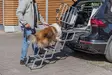 Alumiiniportaat 4 askelmaa max 75kg Trixie - Koiran autoilutarvikkeet - 057746 - 2