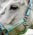 Nylonriimu Fieldsafe blue haze Horseware - Hevosen nylonriimut - 057376 - 2