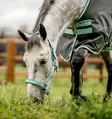 Nylonriimu Fieldsafe blue haze Horseware - Hevosen nylonriimut - 057376 - 1