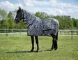 Verkkoloimi Combo kiinteällä kaulakappaleella zebra Riding World - Hevosen hyönteis- ja UV-loimet - 057296 - 1
