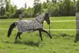 Verkkoloimi Combo kiinteällä kaulakappaleella zebra Riding World - Hevosen hyönteis- ja UV-loimet - 057296 - 3