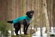 JumppaPomppa Forest - Koiran manttelit - 048806 - 2