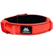 Kahvapanta leveys 3,8cm oranssi Cerberos - Koiran pika- ja pistolukkopannat - 059046 - 3