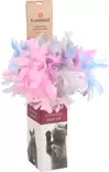 Kissanhuiska pallolla ja höyhenillä 40,5cm värimix Flamingo - Kissan huiskat ja onkilelut - 050456 - 2