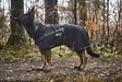 Koiran sadetakki Trekking musta Non-stop dogwear - Koiran manttelit - 048376 - 2