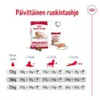 Ageing 10+ MEDIUM 15kg Royal Canin - Koiran kuivaruoat ikääntyville koirille - 001126 - 8