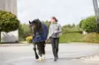 Nylonriimu Diya 2.0 XXFULL musta HorseGuard - Hevosen nylonriimut - 057586 - 3